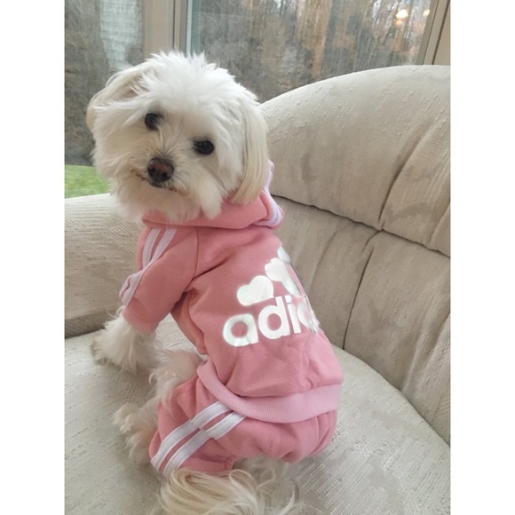 Adidog Pink Tracksuit - Picture 2 of 8